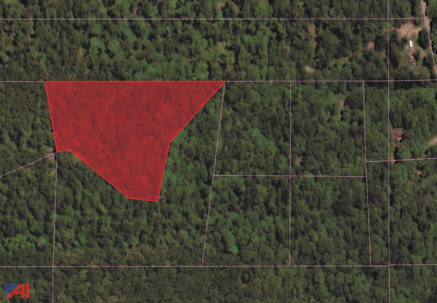 Auctions International Cattaraugus County Tax Foreclosed Real Estate