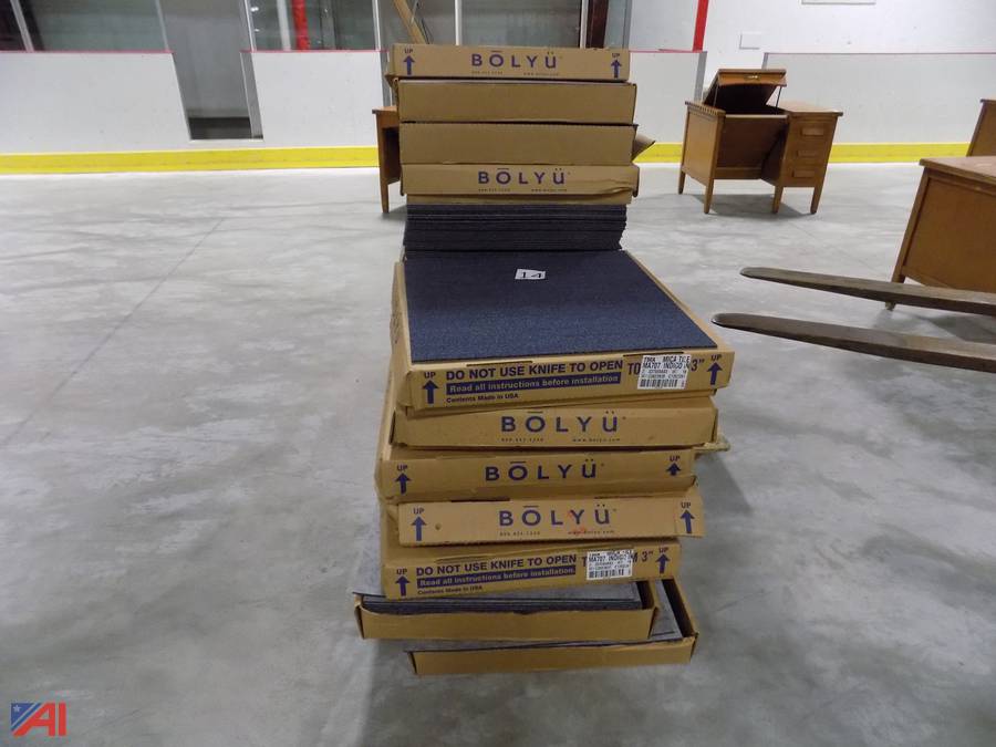 Auctions International Tupper Lake CSDNY 23000