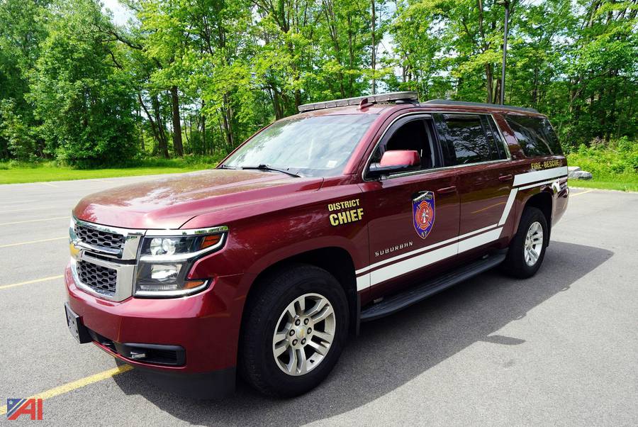 Auctions International Orchard Park FDNY 29151