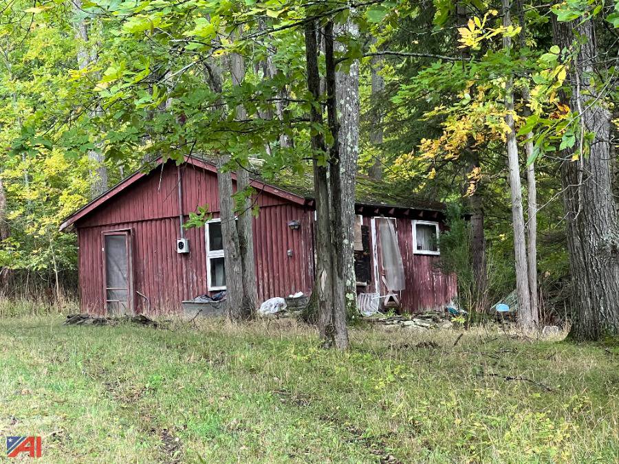 Auctions International Allegany County Tax Foreclosed Real Estate 30258