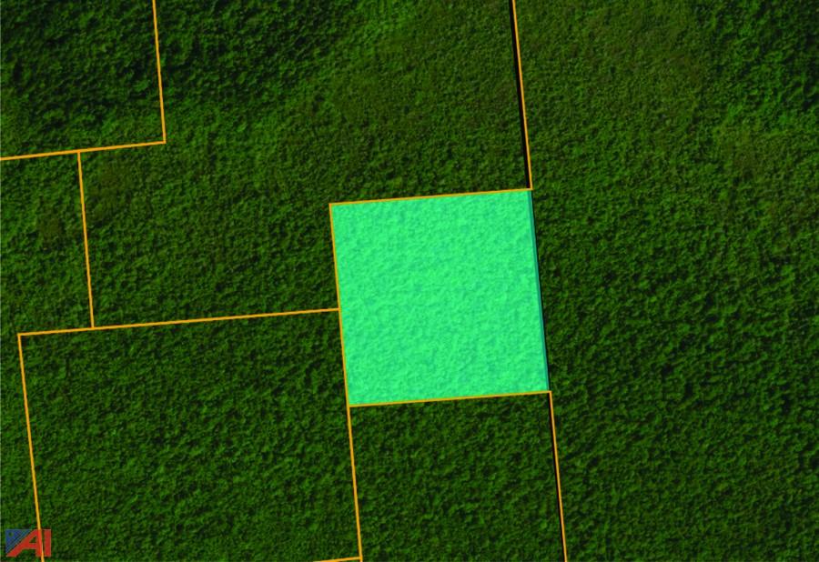 Auctions International Auction 2019 St Lawrence County Tax Foreclosed Real Estate Auction