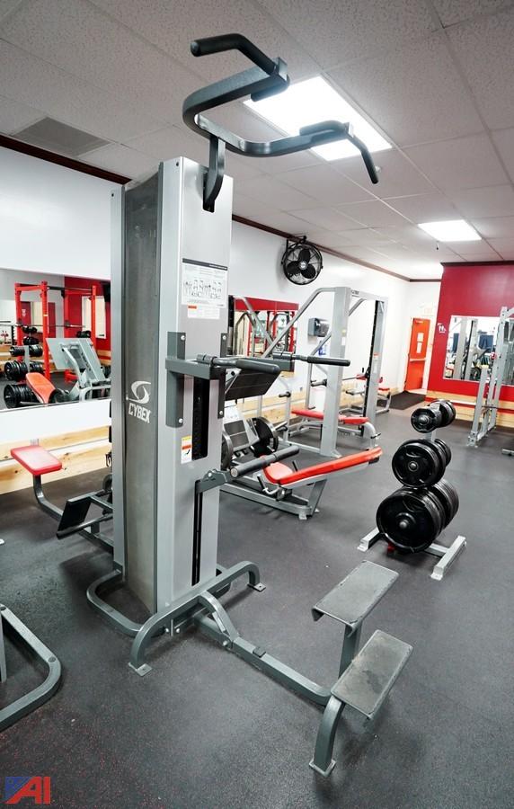 Fitness Equipment Cybex Assisted Chin Up Dip Machine VR3 Assisted Chin Dip  Assist