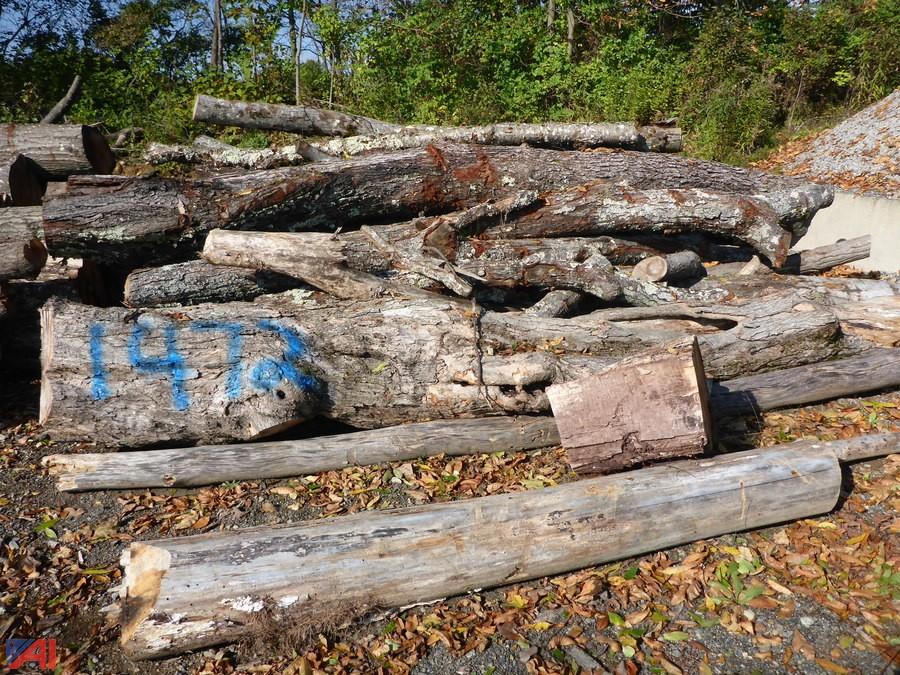 Auctions International Auction Saratoga County, NY 15754 ITEM