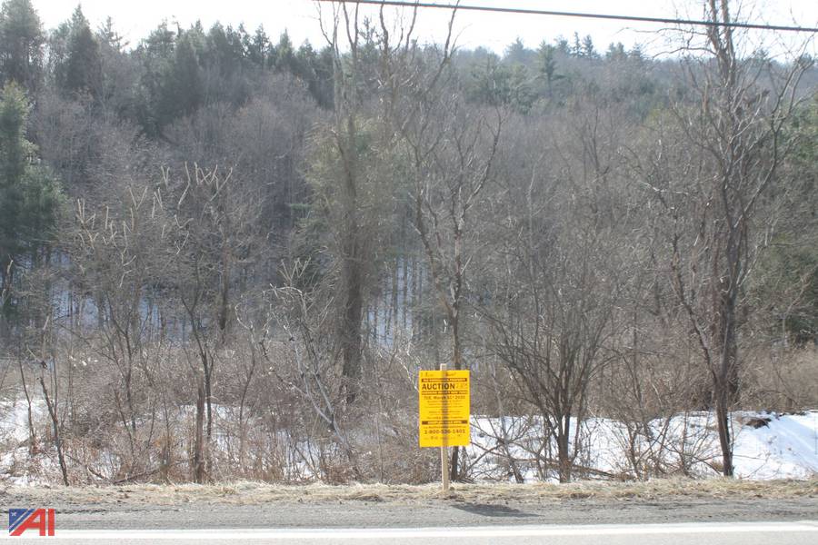 Auctions International Auction Chemung County Tax Foreclosed Real