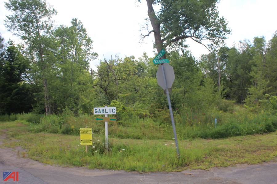 Auctions International Auction Cattaraugus County Tax Foreclosed