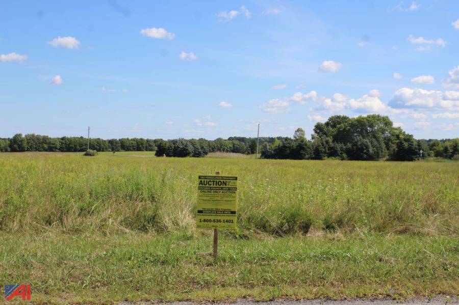 Auctions International Auction Ontario County Tax Foreclosed Real
