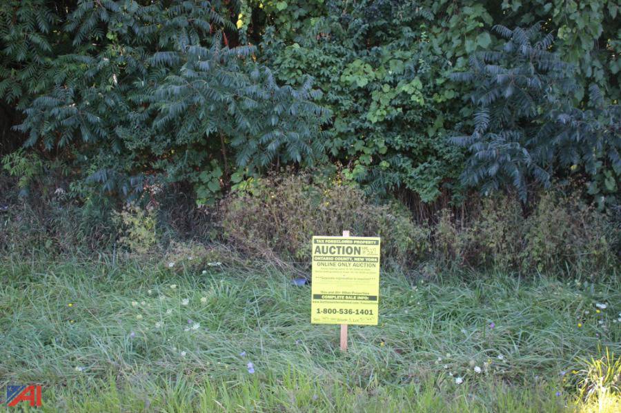 Auctions International Auction Ontario County Tax Foreclosed Real