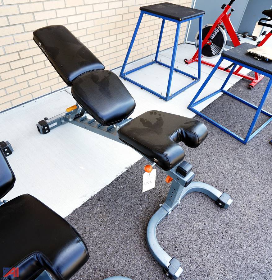 Auctions International Auction Cleveland Hill UFSDNY 22403 ITEM