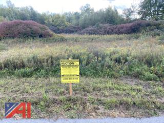 Auctions International St Lawrence County Tax Foreclosed Real Estate