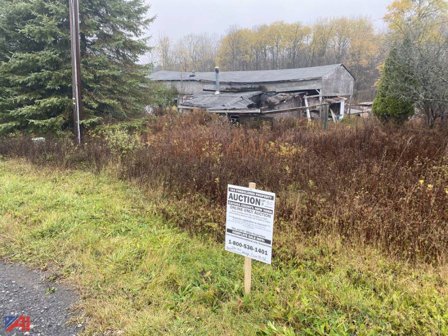 Auctions International Auction Cayuga County Tax Foreclosed Real
