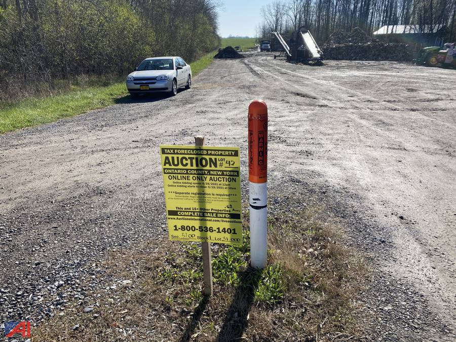 Auctions International Auction Ontario County Tax Foreclosed Real Estate Auction 24742 ITEM