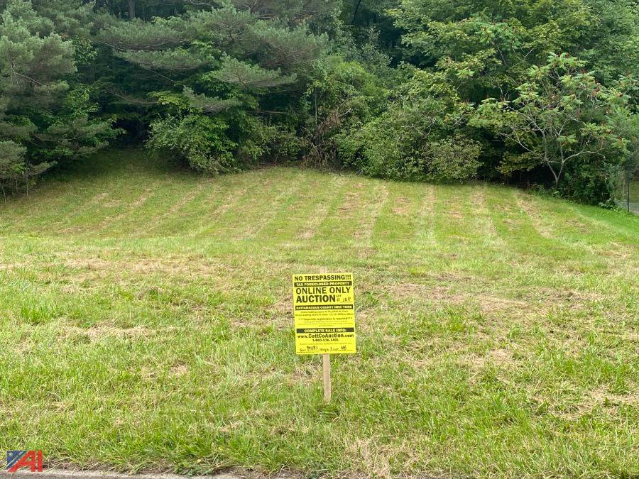 Auctions International Auction Cattaraugus County Tax Foreclosed