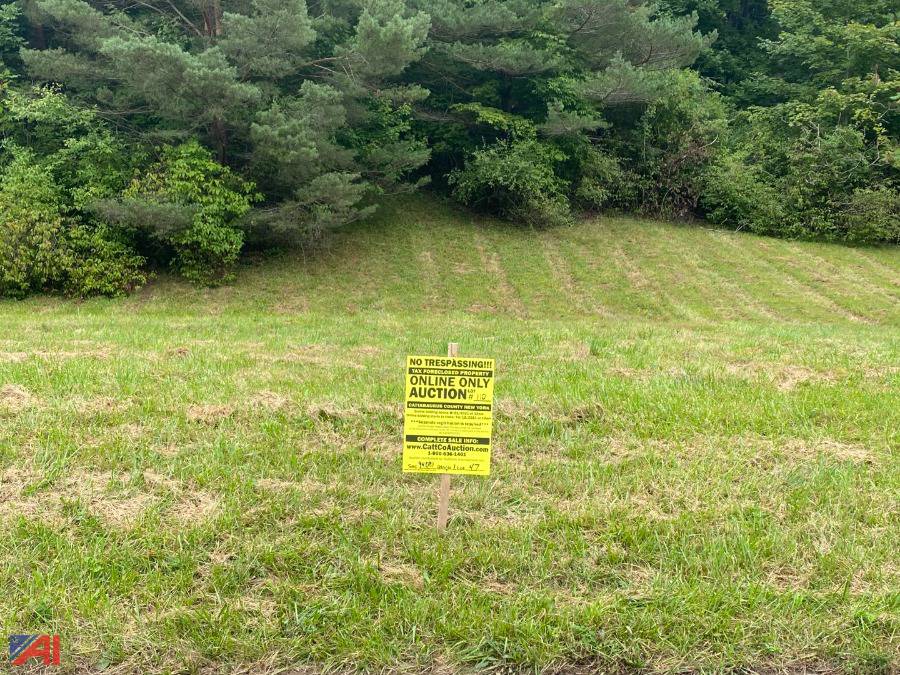Auctions International Auction Cattaraugus County Tax Foreclosed