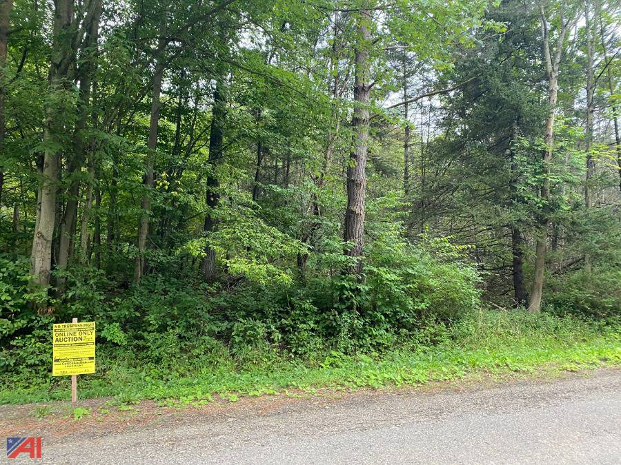 Auctions International Auction Cattaraugus County Tax Foreclosed