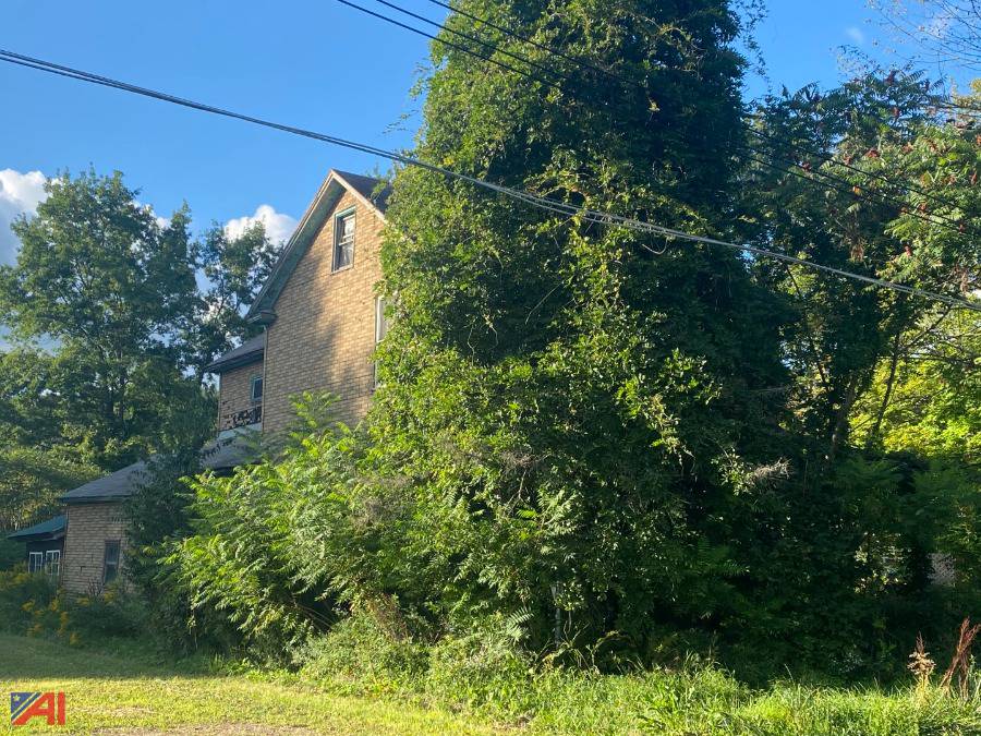 Auctions International Auction Cattaraugus County Tax Foreclosed