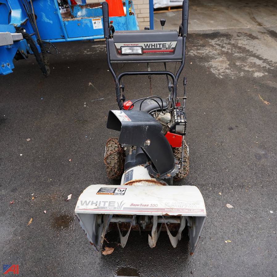 Auctions International - Auction: Bath CSD-NY #26946 ITEM: MTD/White ...