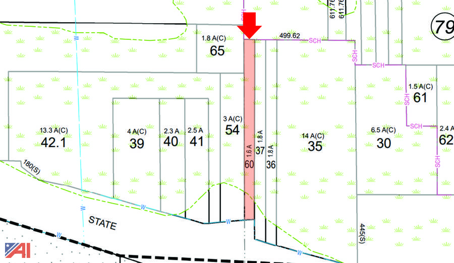 Auctions International Auction *Auction Extended* Surplus Real