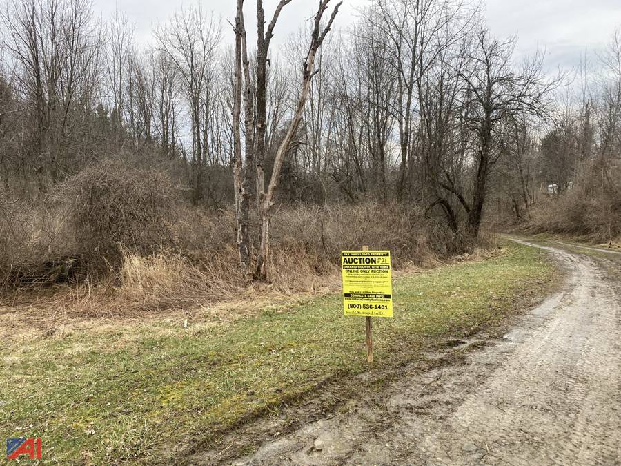 Auctions International Auction Ontario County Tax Foreclosed Real Estate Auction 28246 ITEM