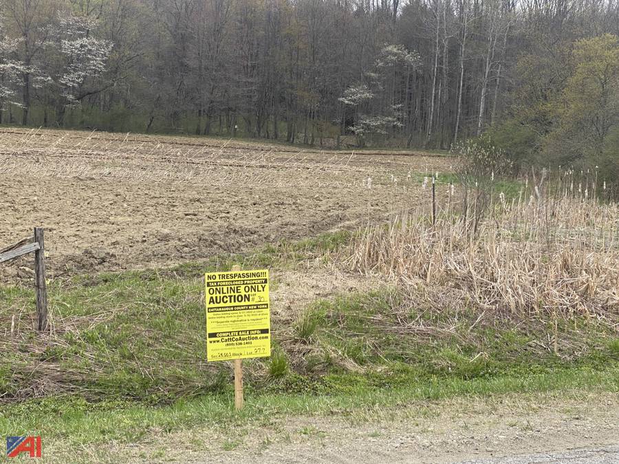 Auctions International Auction Cattaraugus County Tax Foreclosed