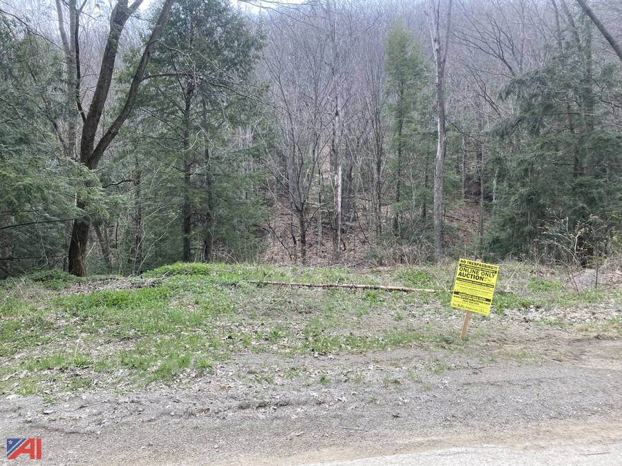 Auctions International Auction Cattaraugus County Tax Foreclosed Real Estate Auction 28598