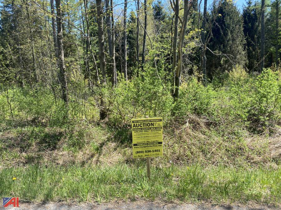 Auctions International Auction Cayuga County Tax Foreclosed Real