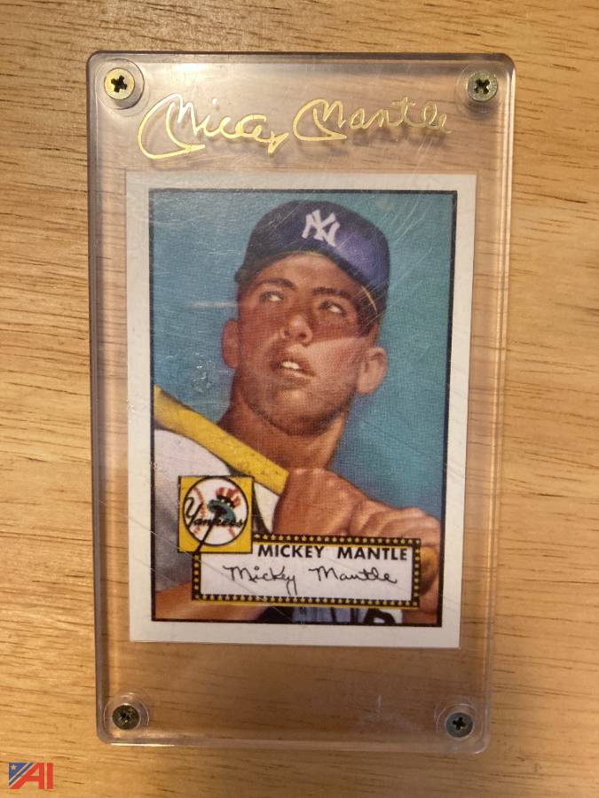 Auctions International Auction Surplus LiquidationNY 29155 ITEM