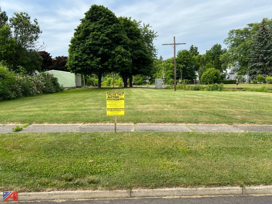 Auctions International Auction DAY 1 Chautauqua County Tax