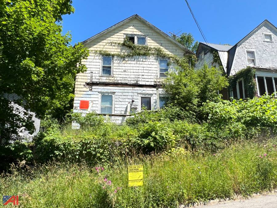 Auctions International Auction DAY 1 Chautauqua County Tax