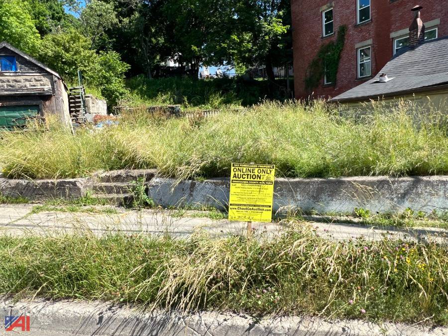 Auctions International Auction DAY 1 Chautauqua County Tax