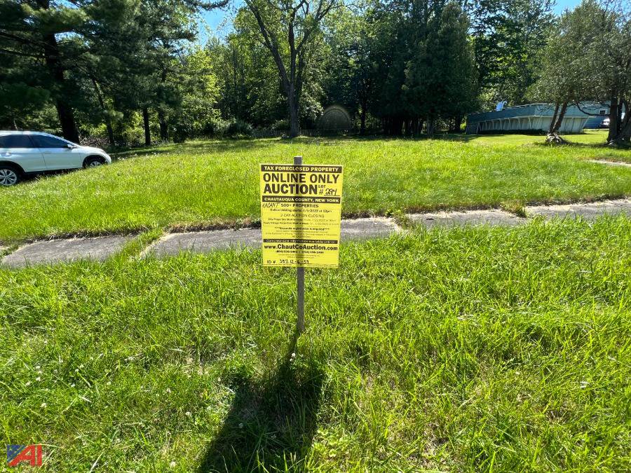 Auctions International Auction DAY 1 Chautauqua County Tax