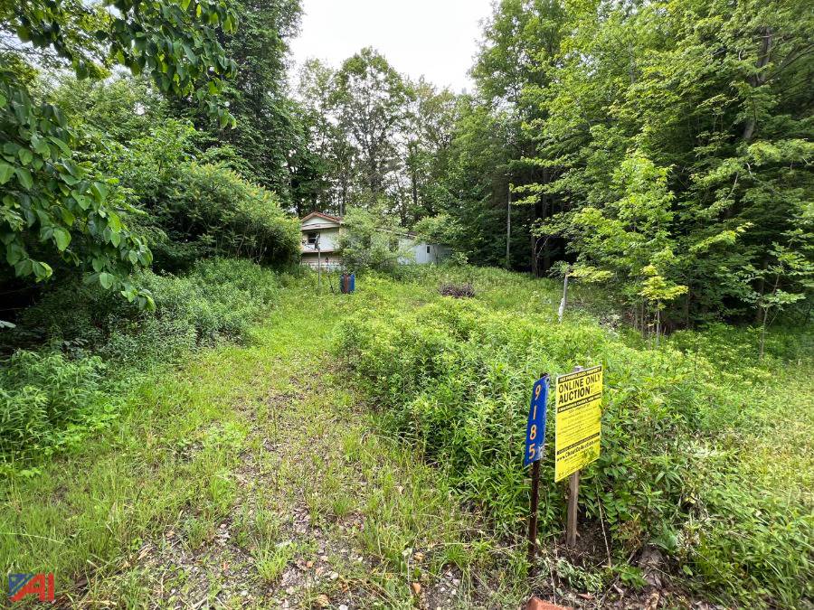 Auctions International Auction DAY 2 Chautauqua County Tax