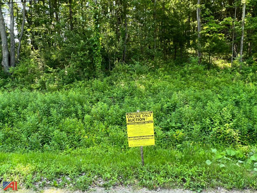 Auctions International Auction DAY 2 Chautauqua County Tax