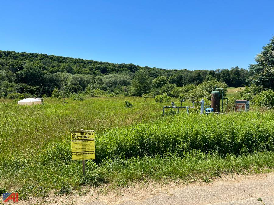 Auctions International Auction DAY 2 Chautauqua County Tax