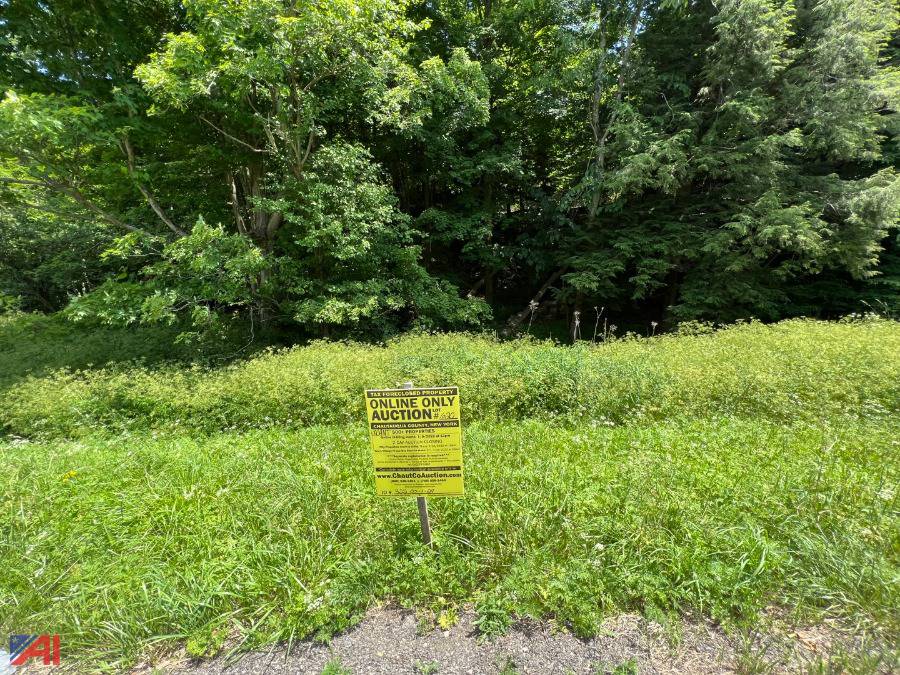 Auctions International Auction DAY 2 Chautauqua County Tax