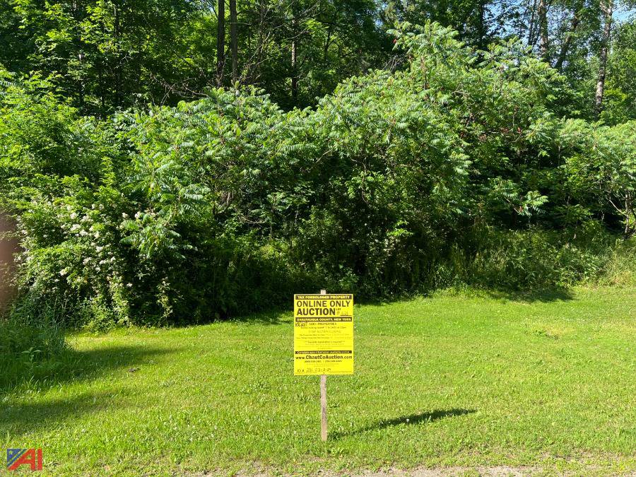 Auctions International Auction DAY 2 Chautauqua County Tax