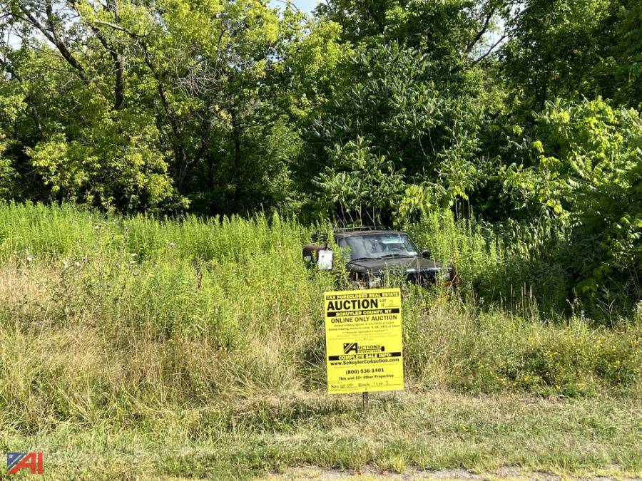 Auctions International Auction Schuyler County Tax Foreclosed Real