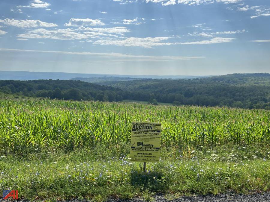 Auctions International Auction Schuyler County Tax Foreclosed Real