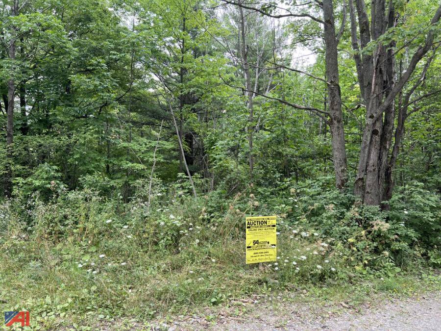 Auctions International Auction Schuyler County Tax Foreclosed Real