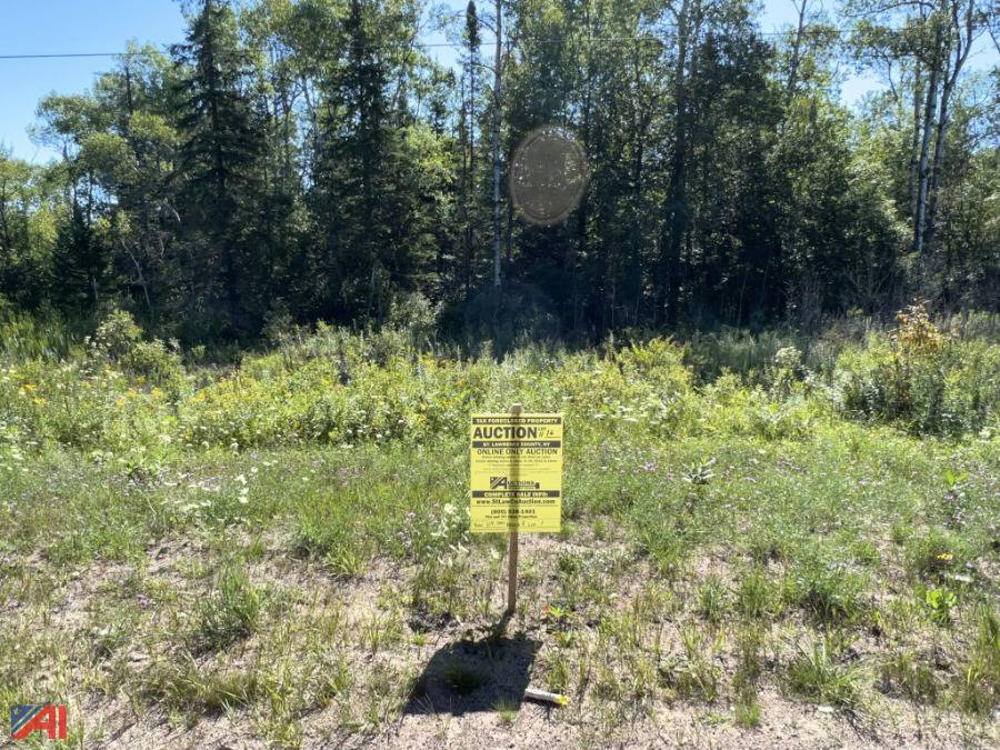 Auctions International Auction St Lawrence County, NY Tax Foreclosed