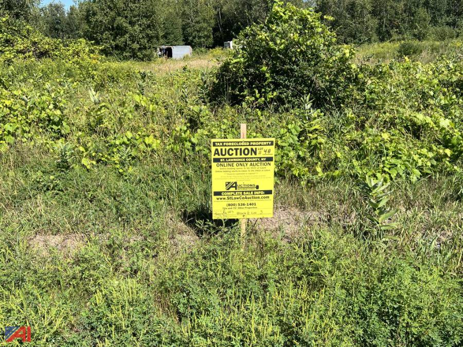 Auctions International Auction St Lawrence County, NY Tax Foreclosed Real Estate 29744 ITEM
