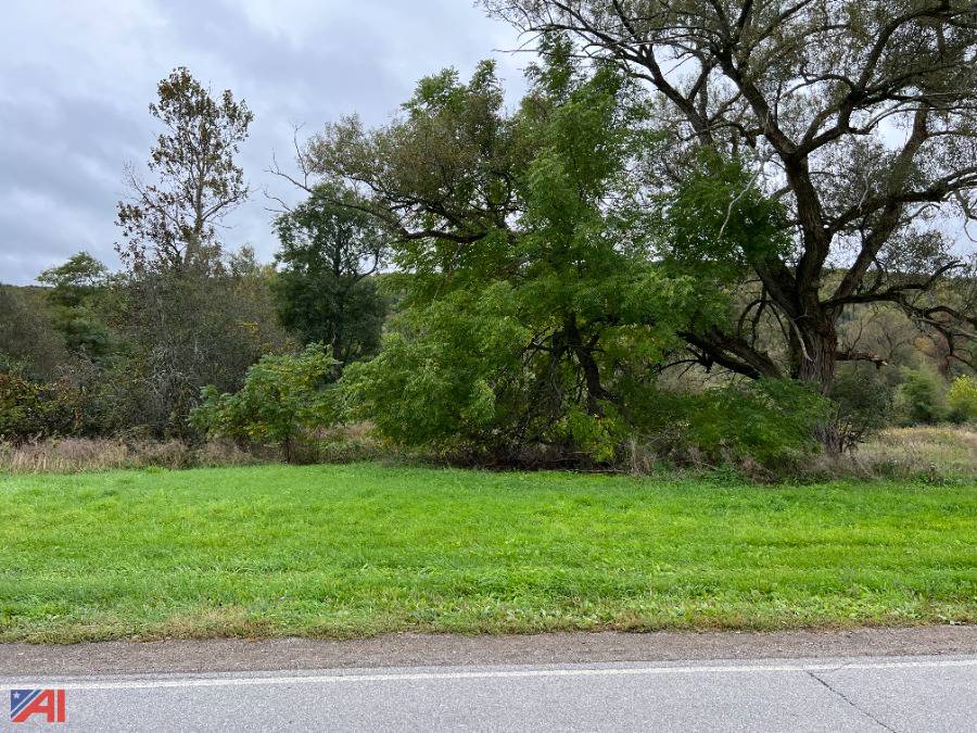 Auctions International Auction Allegany County Tax Foreclosed Real