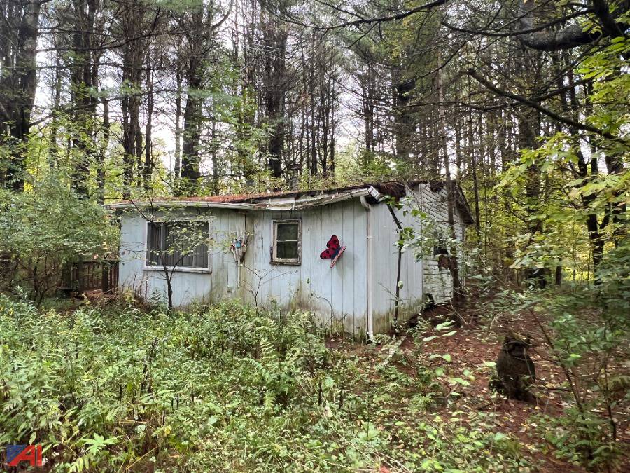 Auctions International Auction Allegany County Tax Foreclosed Real