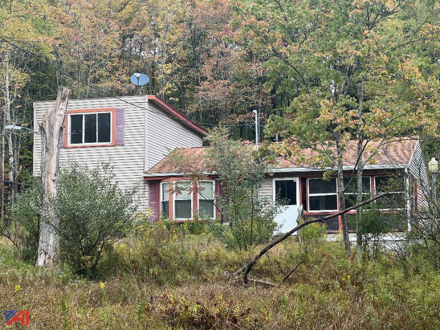 Auctions International Auction Allegany County Tax Foreclosed Real