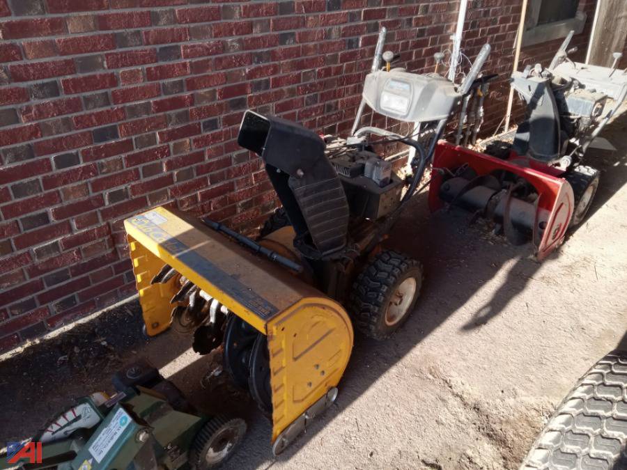 Auctions International Auction Eden CSDNY 30434 ITEM 2007 Walk