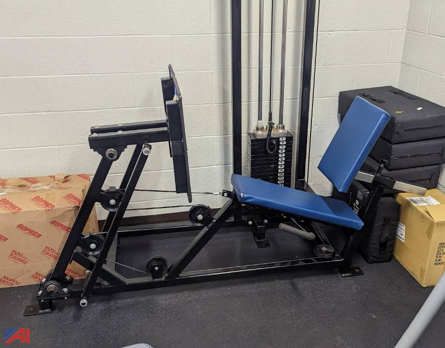 Auctions International Auction Homer CSDNY 31265 ITEM Body Power