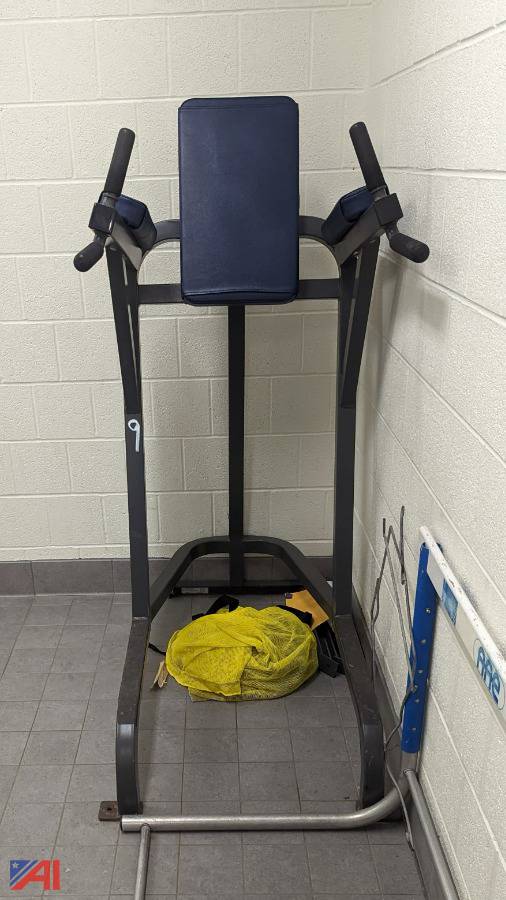 Auctions International Auction Homer CSDNY 31265 ITEM Weight