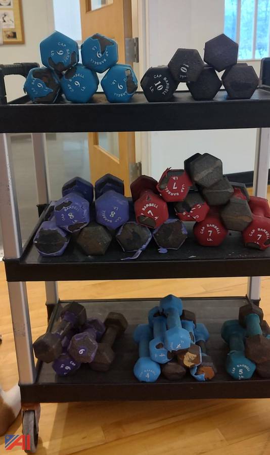 Auctions International Auction Town of MaltaNY 31312 ITEM Various Weight Dumbbells