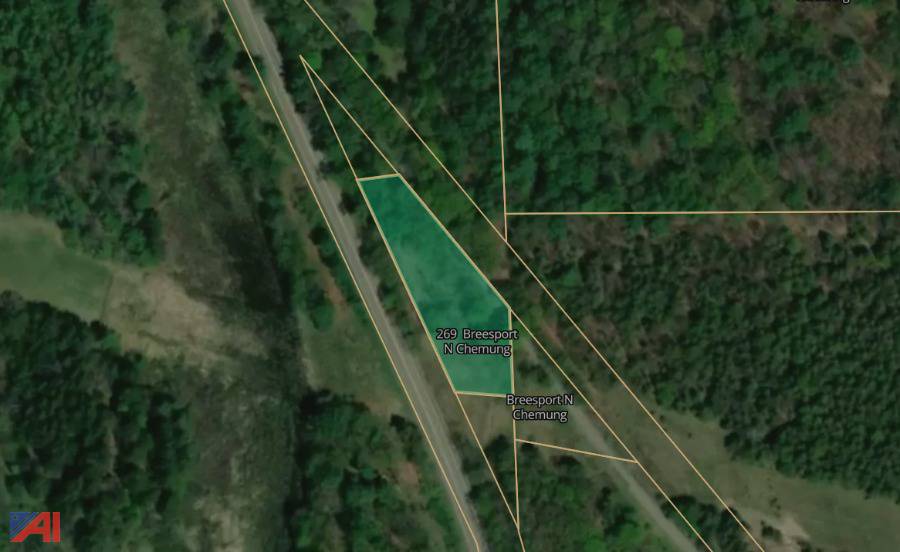 Auctions International Auction Chemung County Tax Foreclosed Real Estate Auction 32303 ITEM