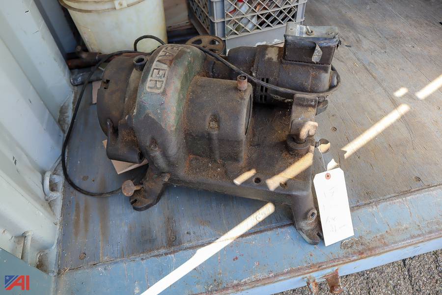 Auctions International Auction Dunkirk CSDNY 32629 ITEM Beaver