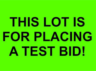 Test Bidding Here